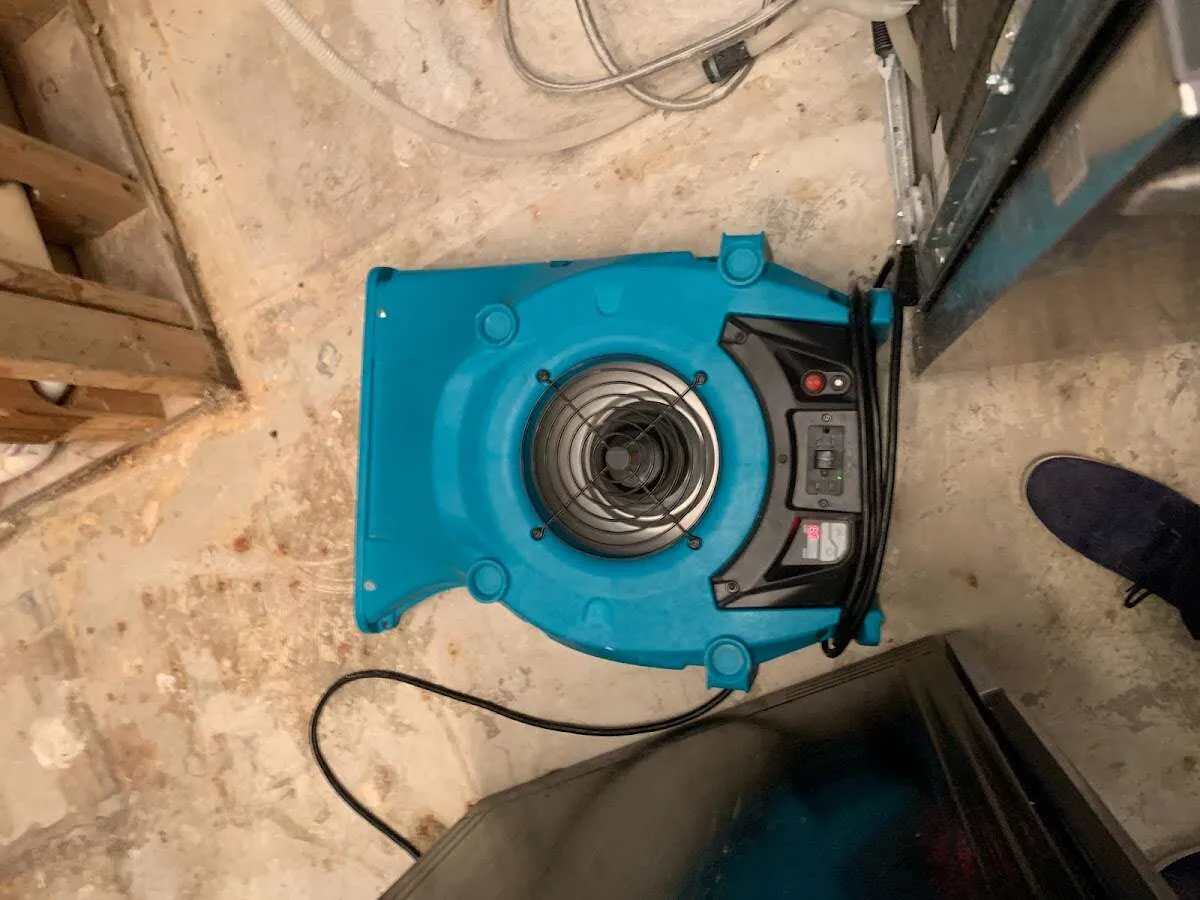 Air mover drying equipment for Mold Remediation & Removal in Montrose